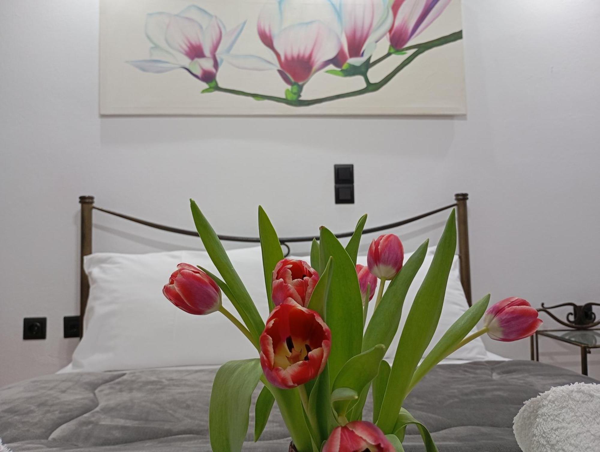 Vaso'S Appartments A Missolonghi ภายนอก รูปภาพ